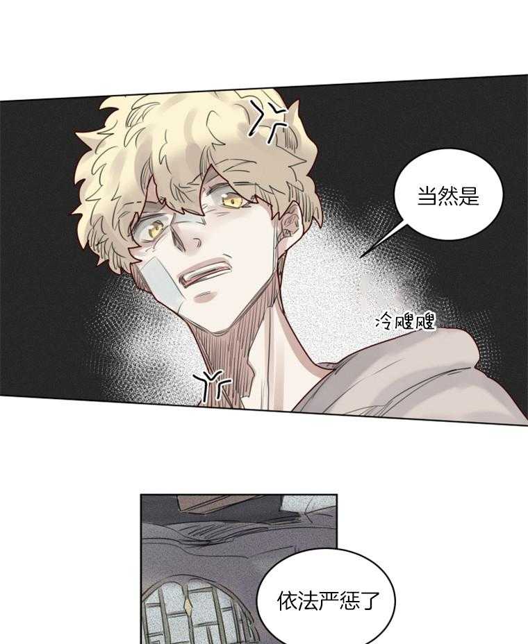 20.jpg