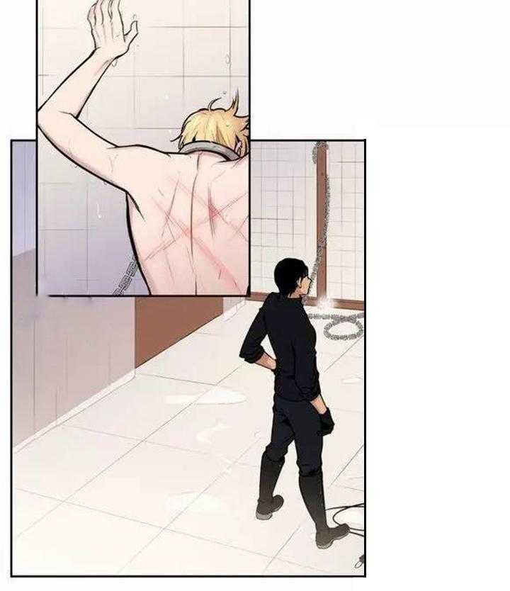23.jpg