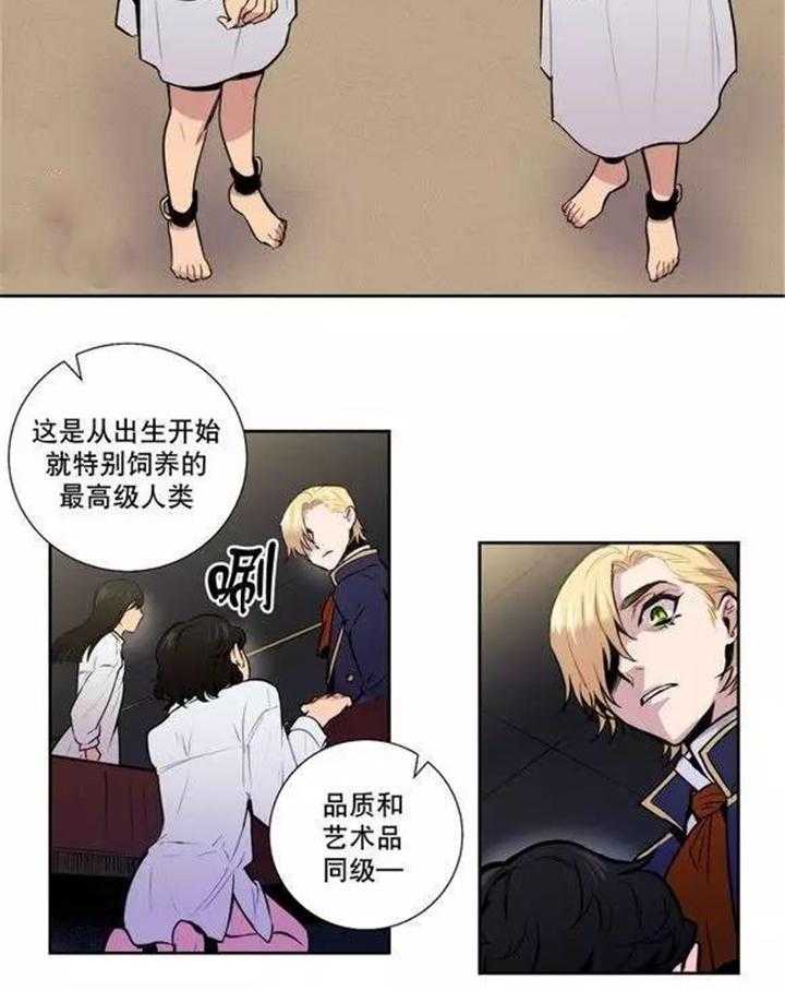 16.jpg