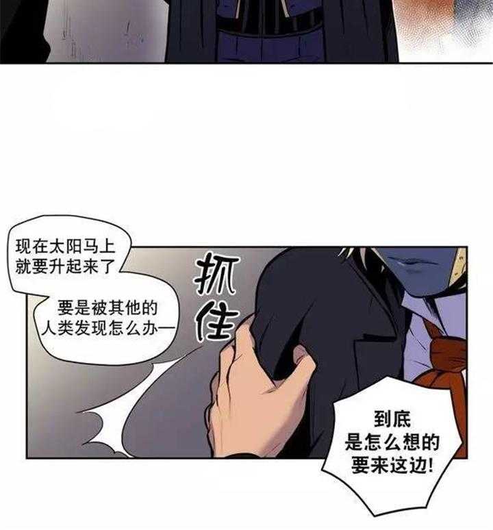 13.jpg