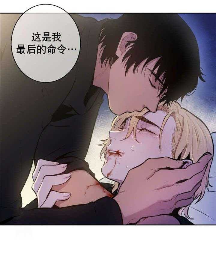 20.jpg