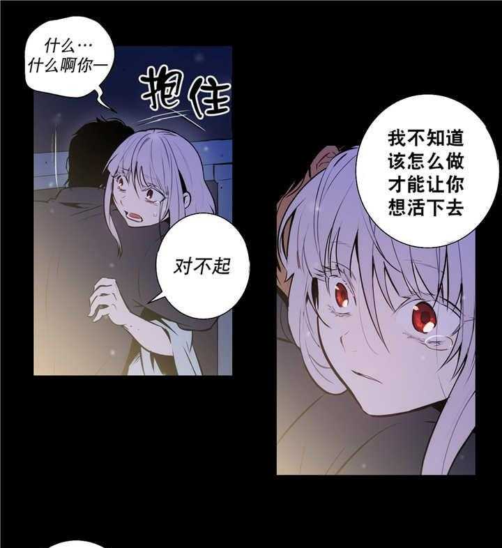 8.jpg