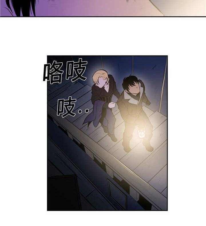 17.jpg