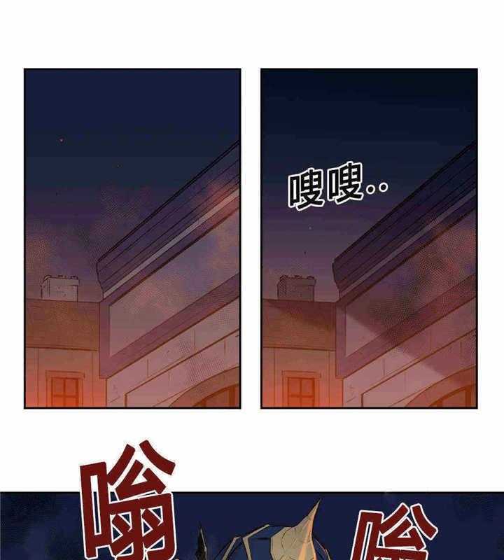 28.jpg