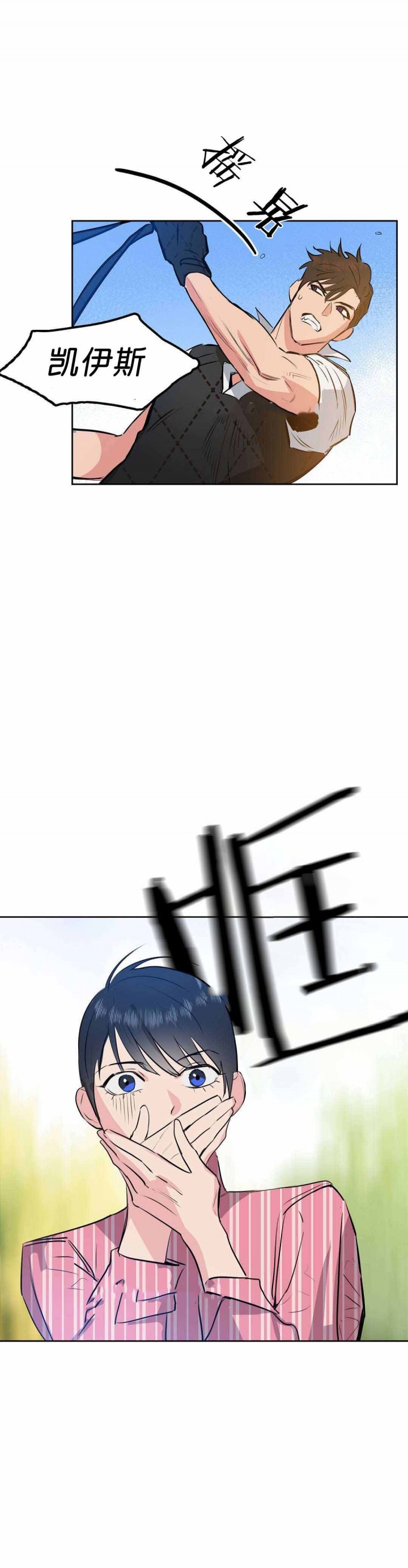 19.jpg