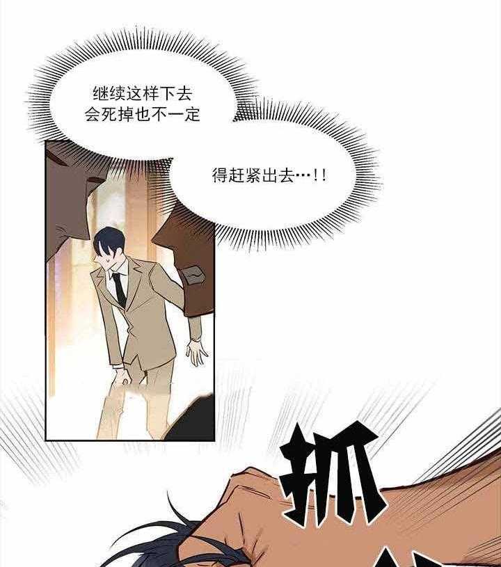 24.jpg