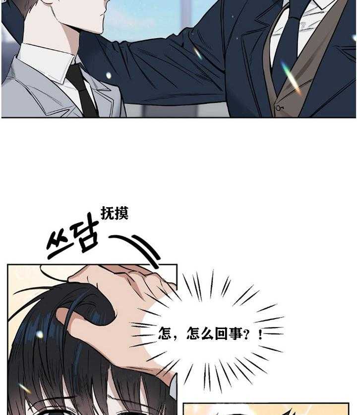28.jpg