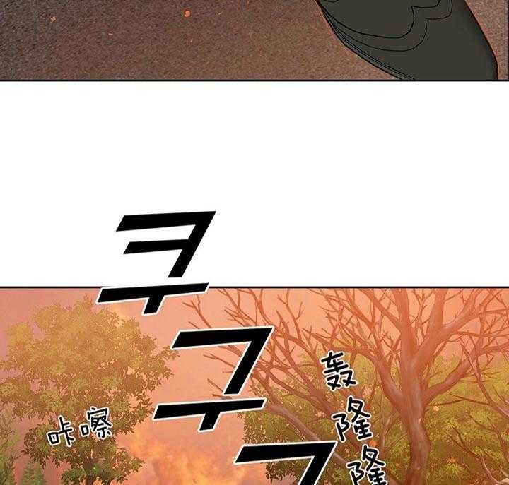 46.jpg