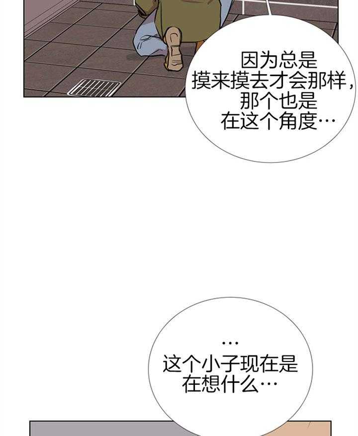 21.jpg