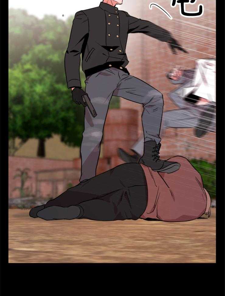 16.jpg