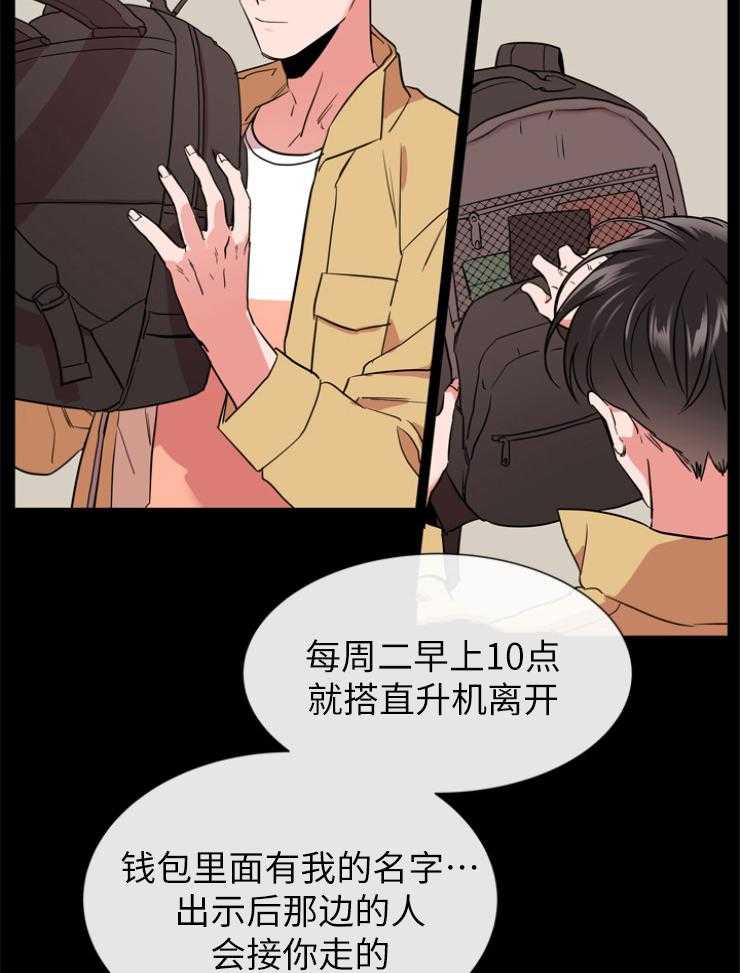 19.jpg
