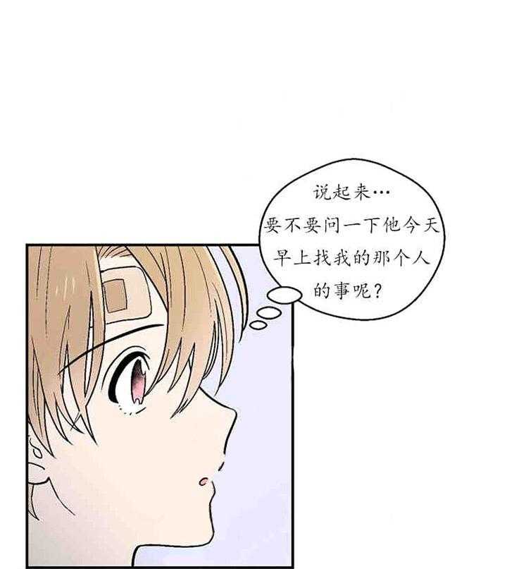 21.jpg