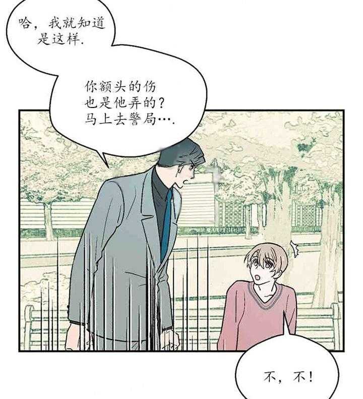 16.jpg