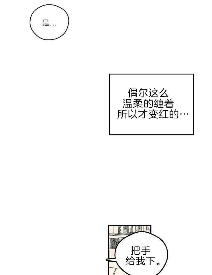 17.jpg