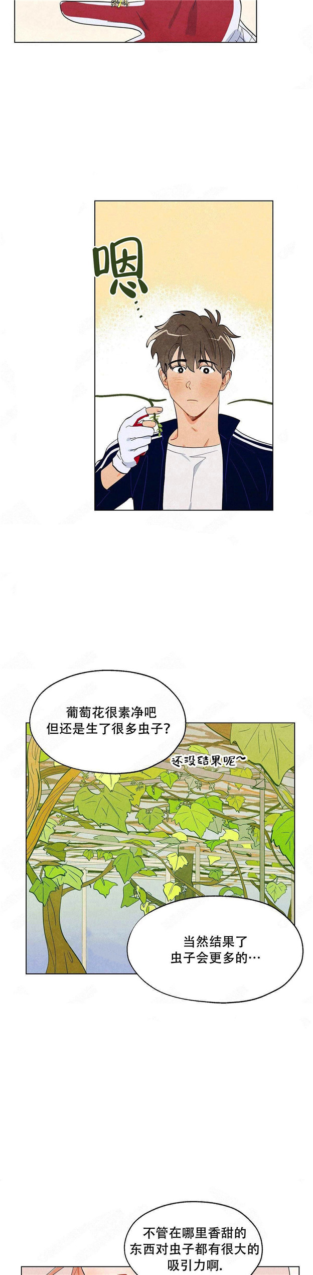10.jpg