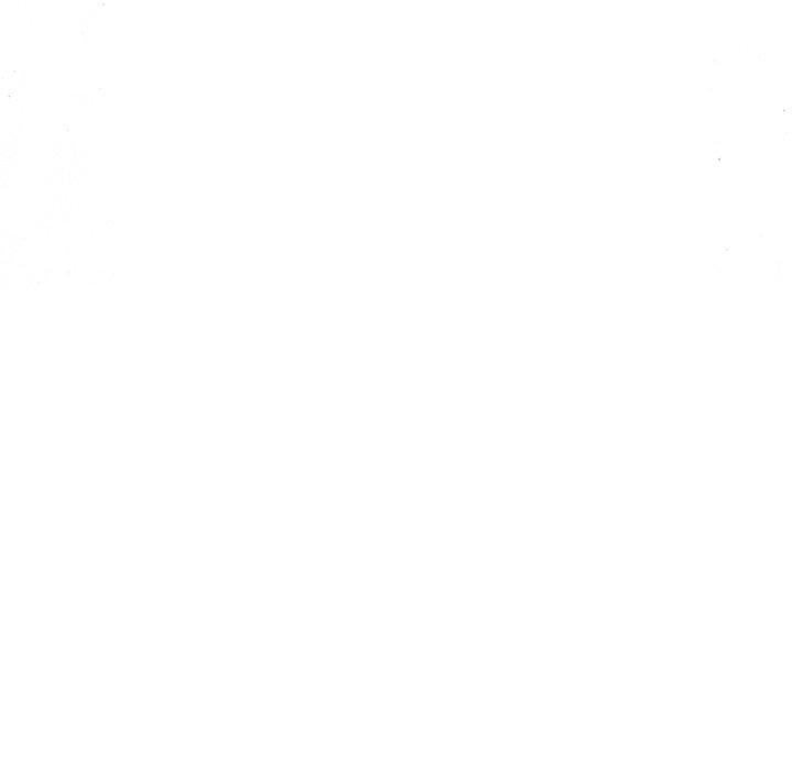 114.jpg
