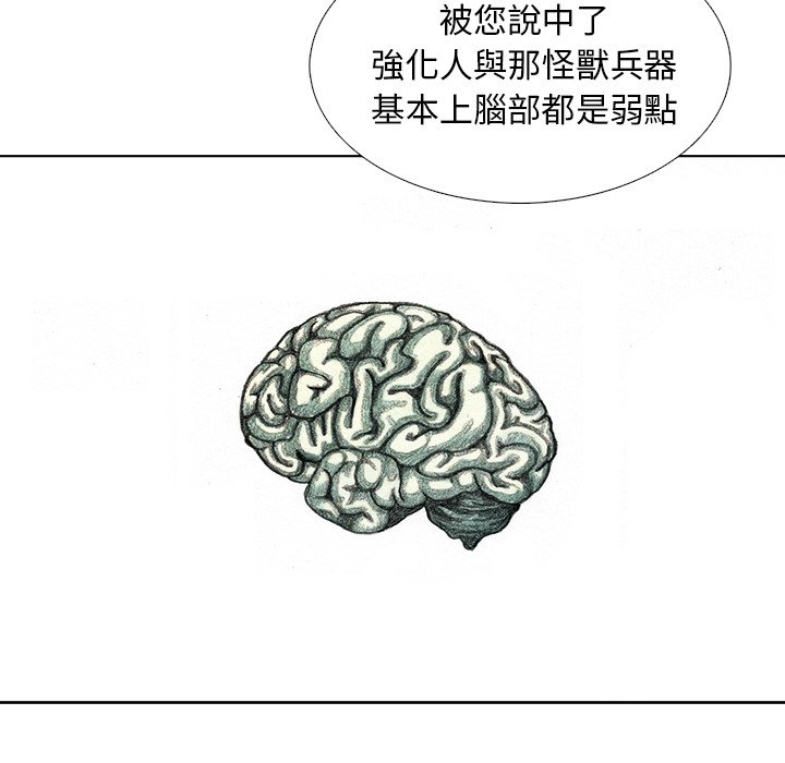48.jpg