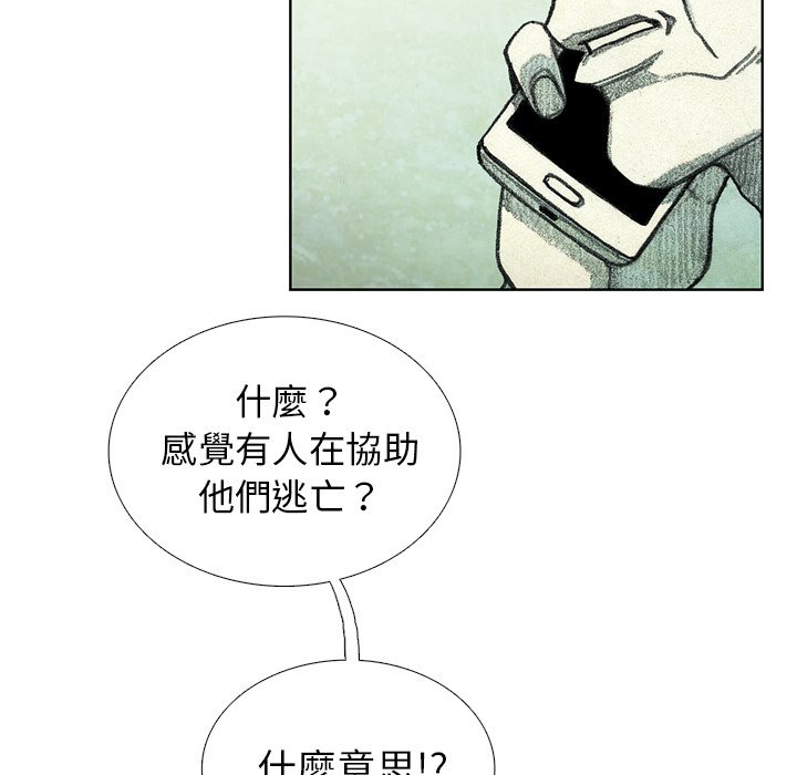 97.jpg