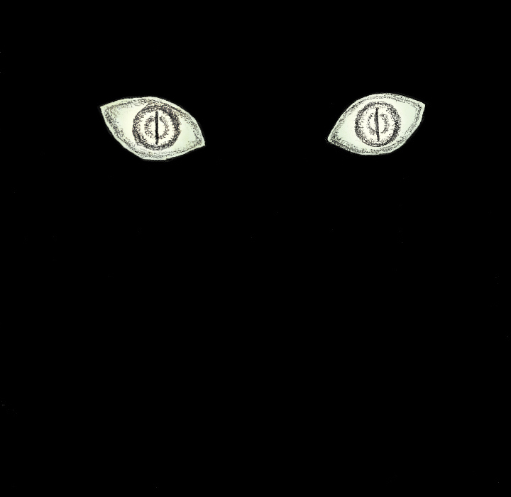 190.jpg