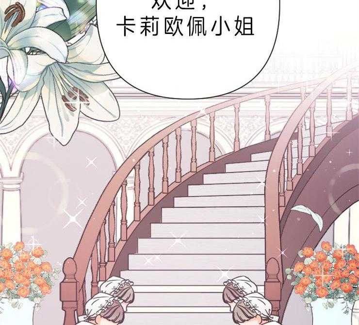 48.jpg