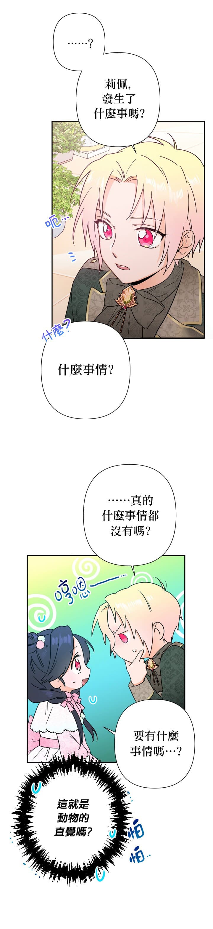 17.jpg
