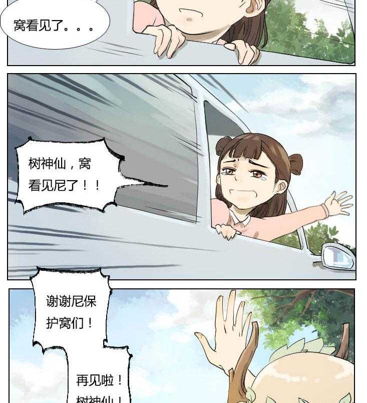 5.jpg