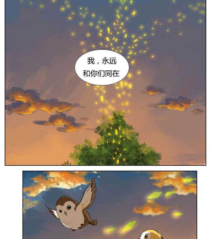 15.jpg