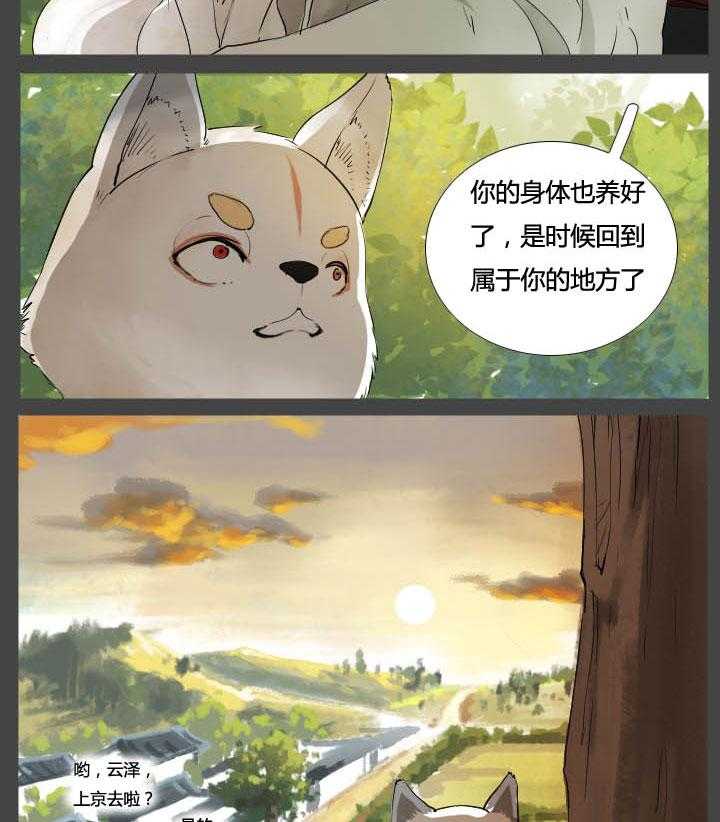 18.jpg