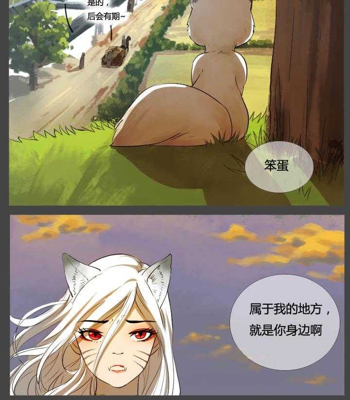 19.jpg