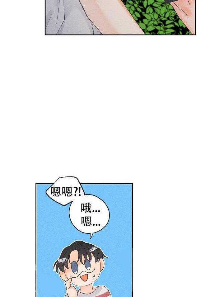 16.jpg
