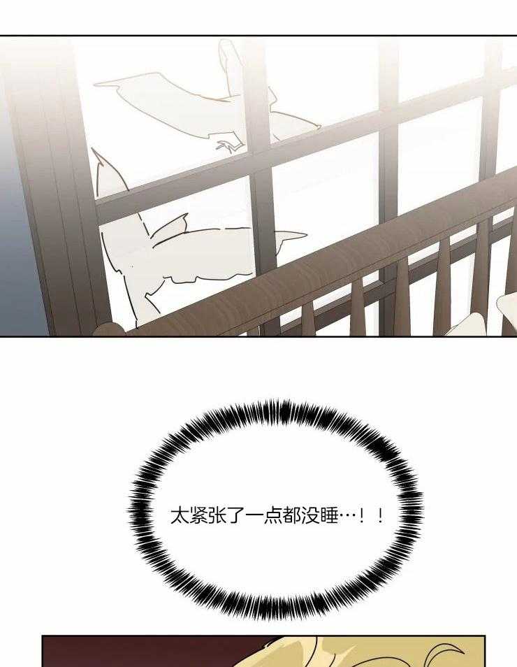 21.jpg