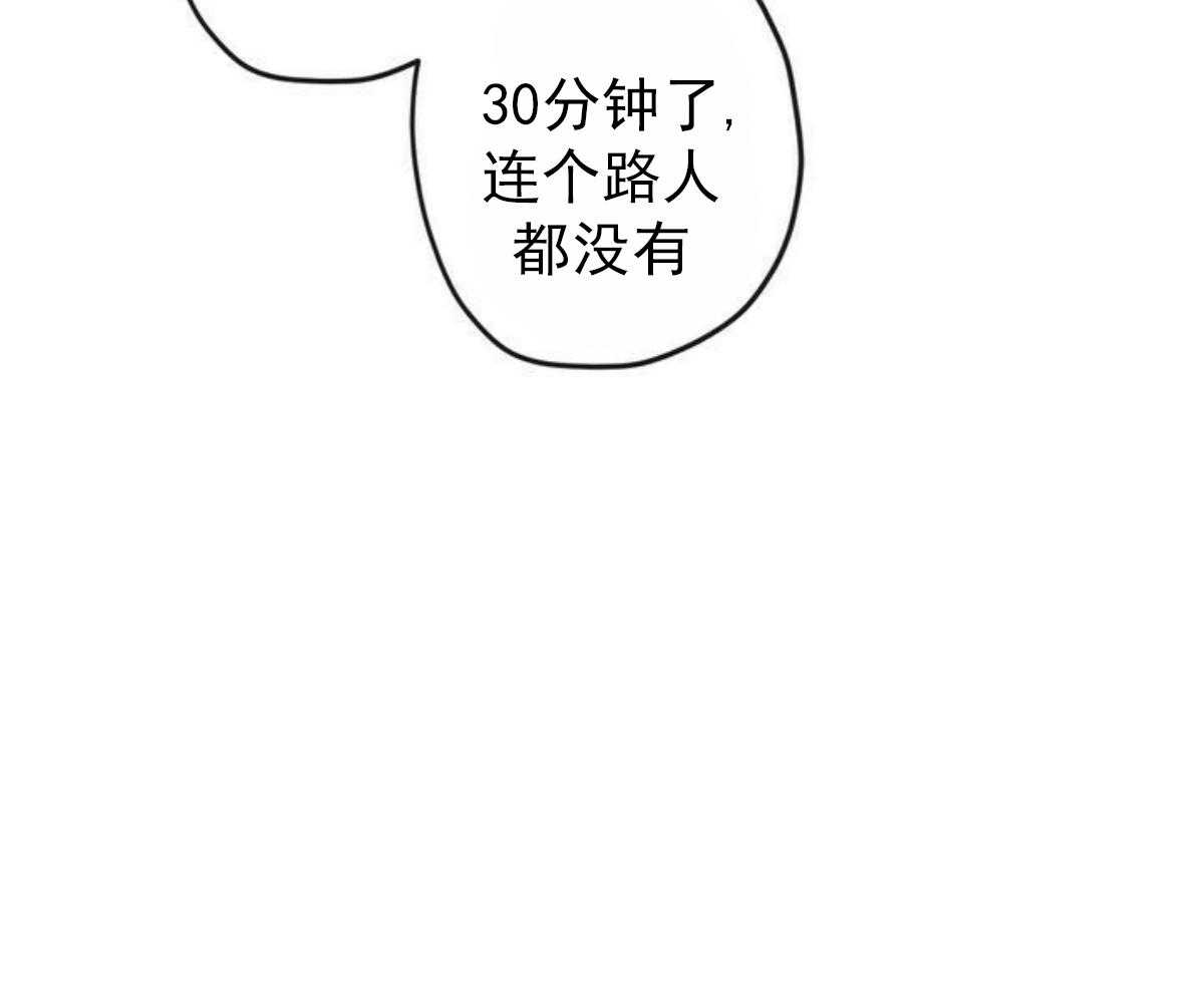 39.jpg