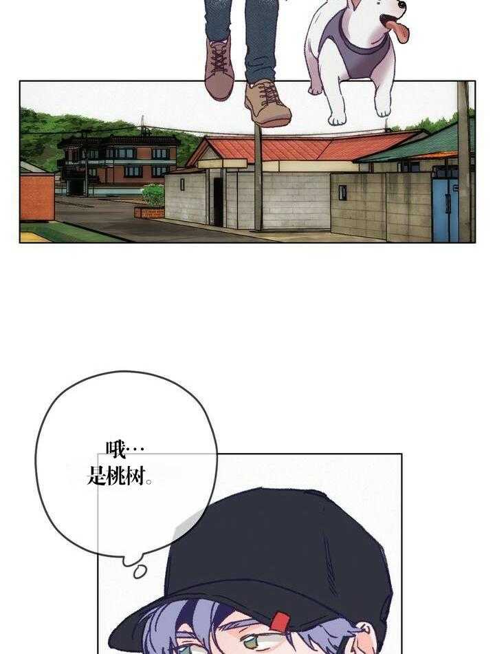 24.jpg