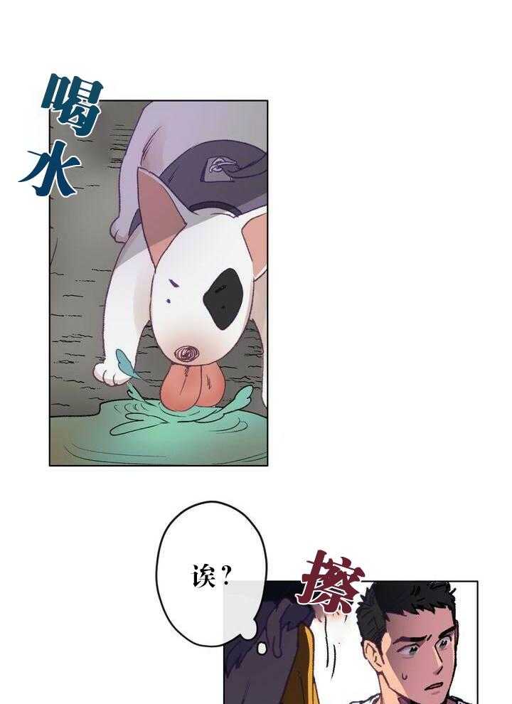13.jpg