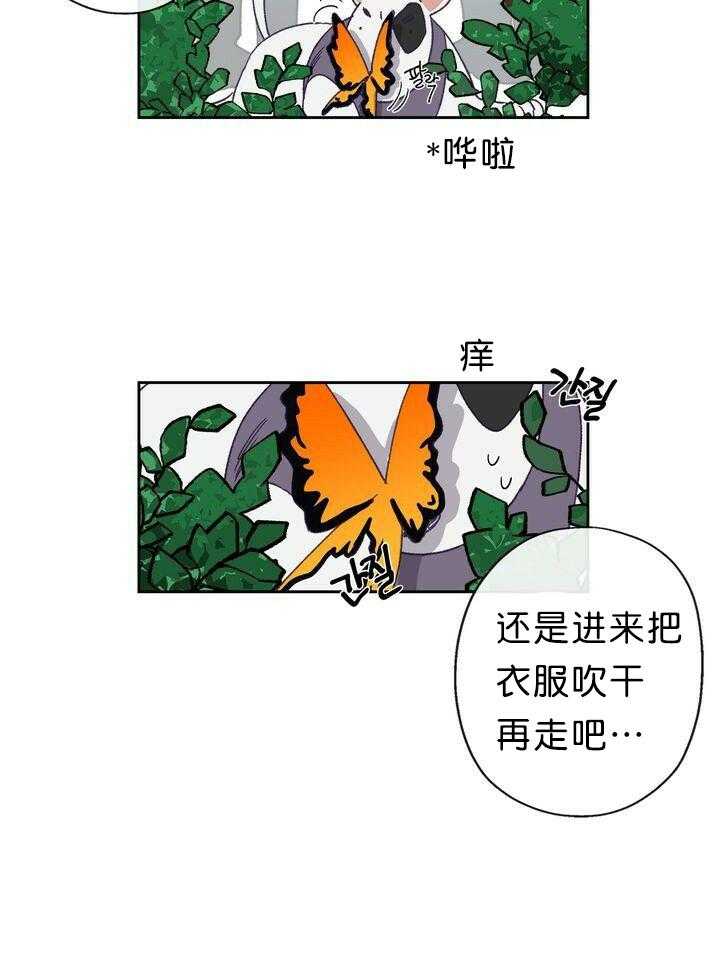 20.jpg