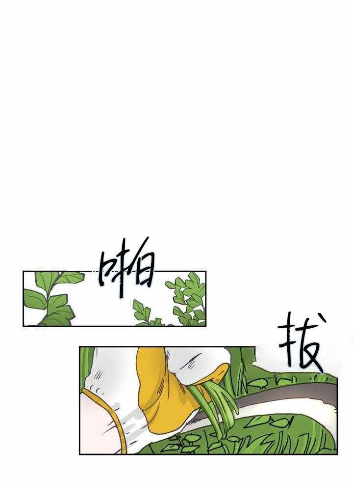 17.jpg