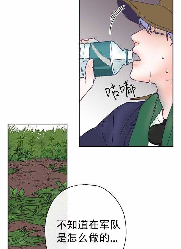 3.jpg