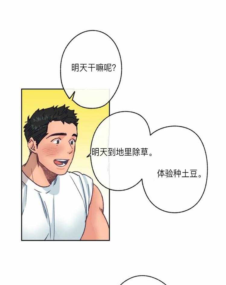 4.jpg