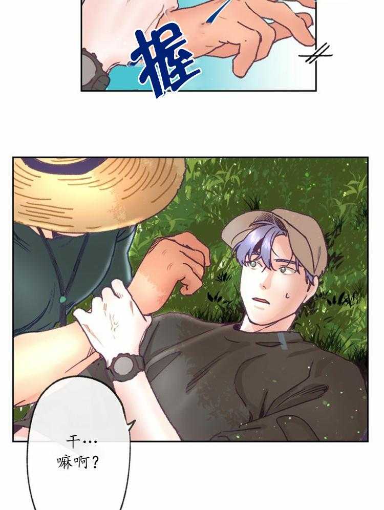 16.jpg