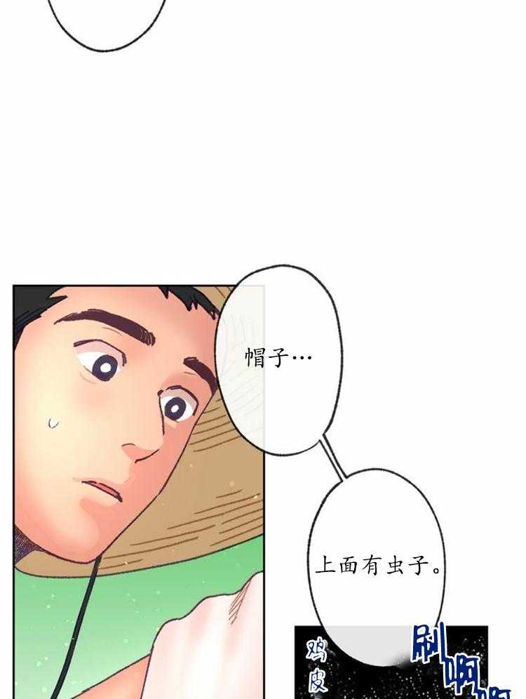 17.jpg