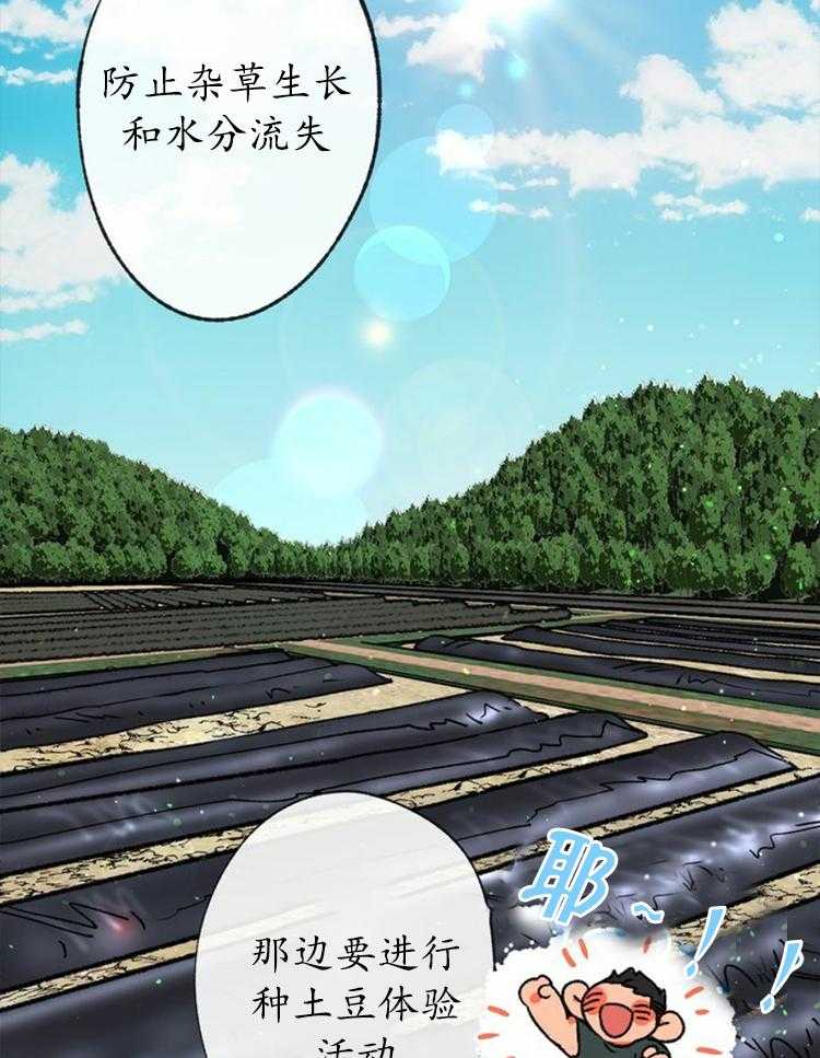 16.jpg
