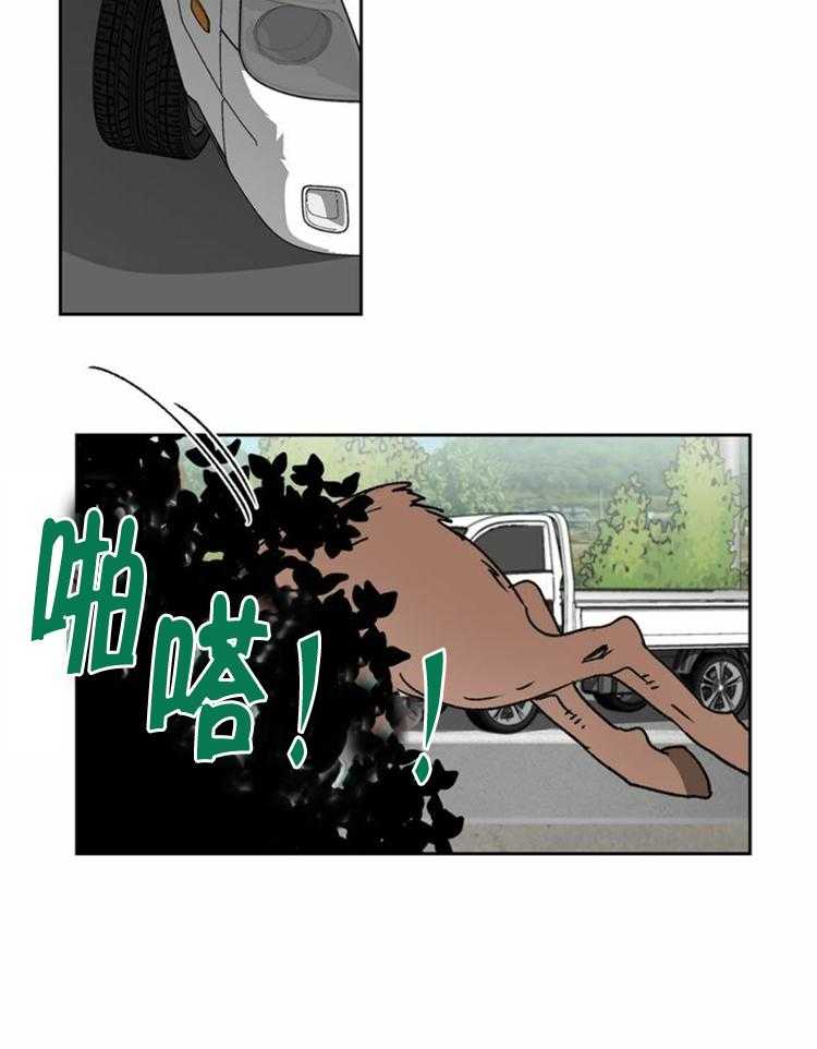 12.jpg