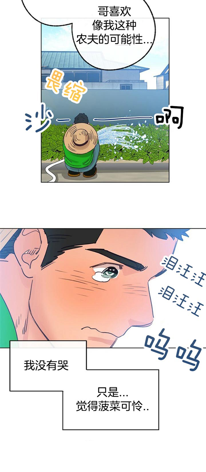 19.jpg