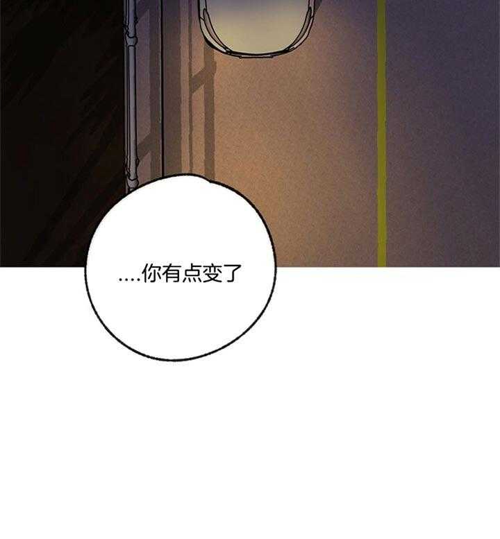 47.jpg