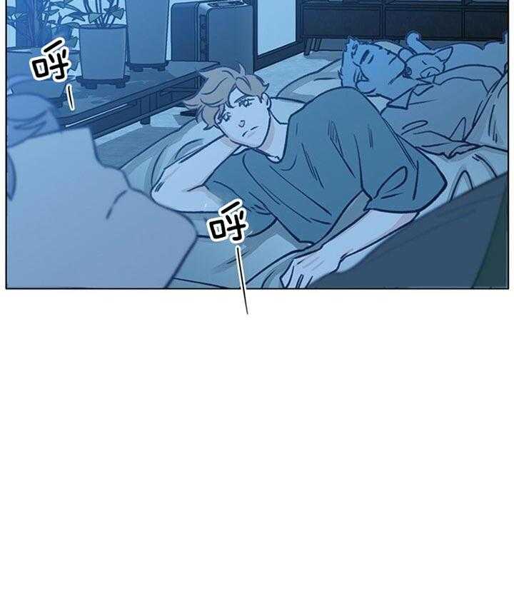 54.jpg