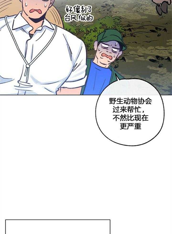 49.jpg