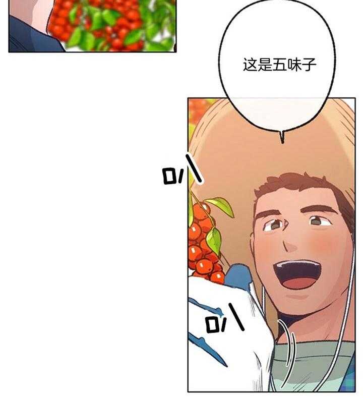 20.jpg