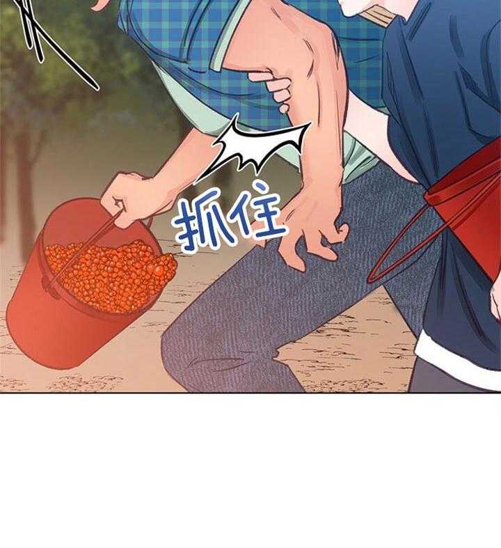40.jpg