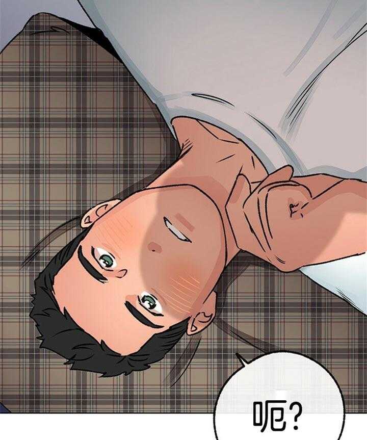 35.jpg