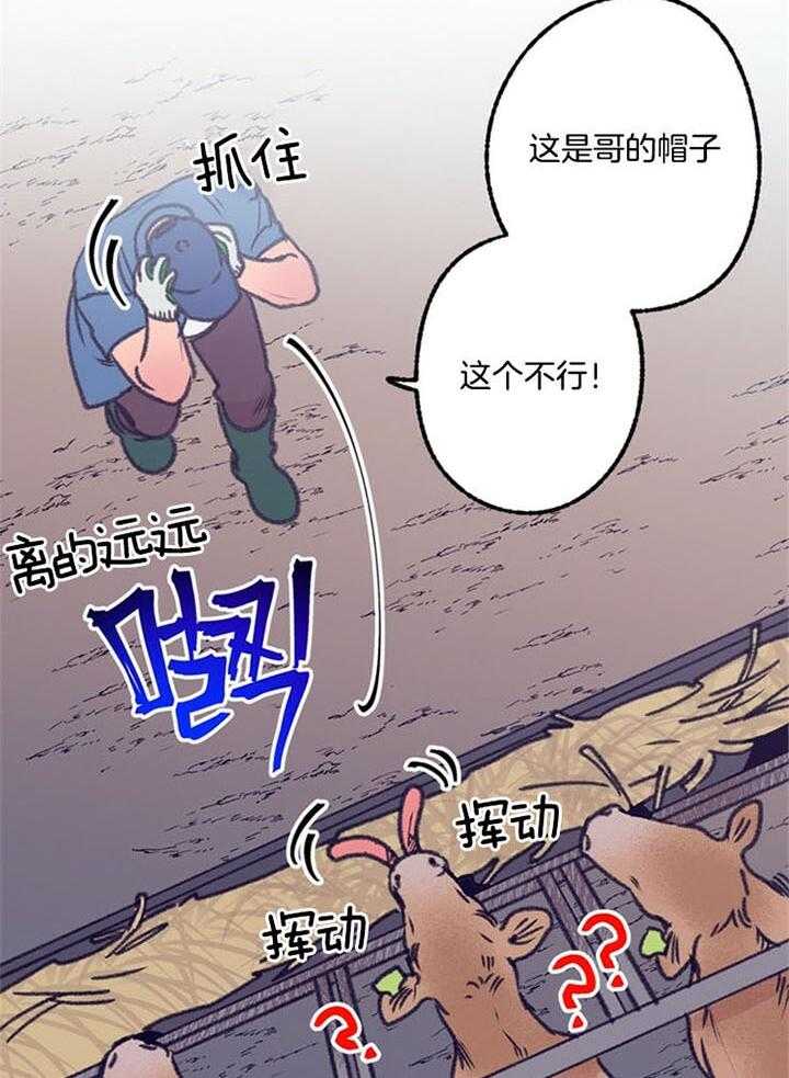 22.jpg